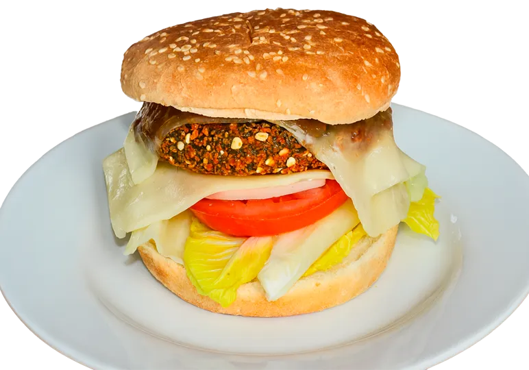 albergue-camino-frances-_hamburguesa-vegana