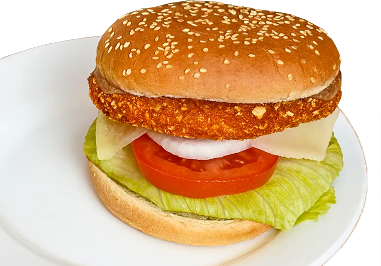 albergue-camino-frances-hamburguesa-pollo